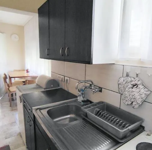 Kuca Za Odmor Solo 索科矿泉村